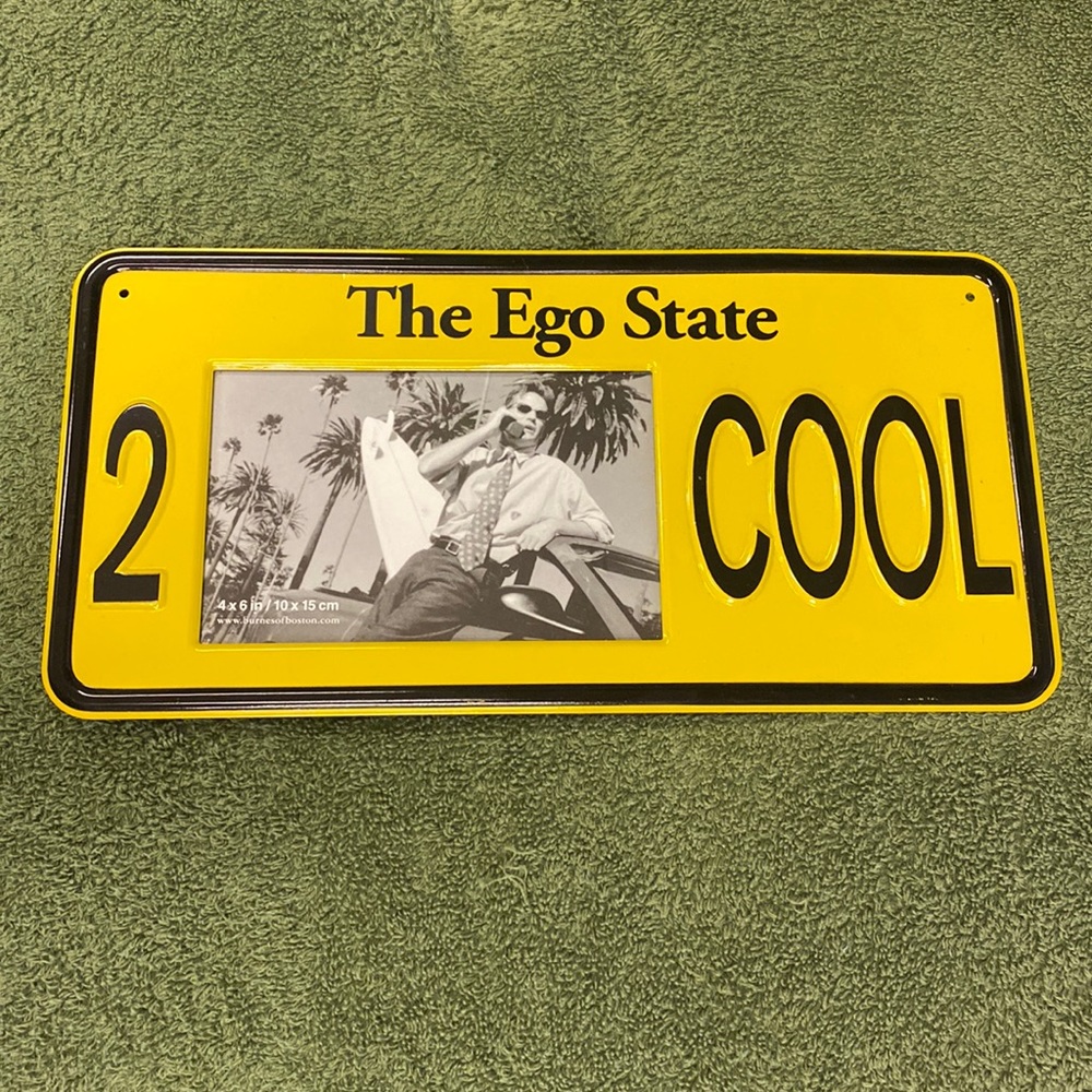Picture Frame - The Ego State by Burns of Boston - 12”x 6”